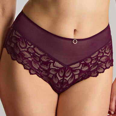 Allure Deep Brief 10764 Plum