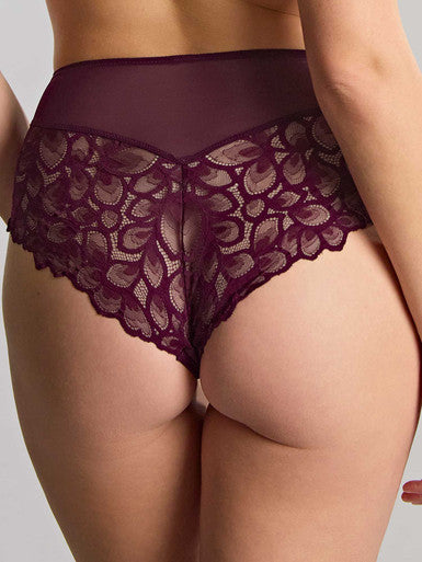 Allure Deep Brief 10764 Plum