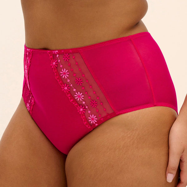 Matilda Full Brief EL8906 Hot Pink
