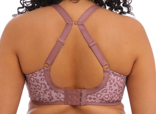 Energise Sports EL8042 Dusky Leopard